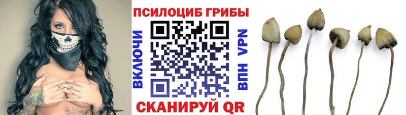 кракен как войти  наркота  Лянтор  Галлюциногенные грибы MAGIC MUSHROOMS 